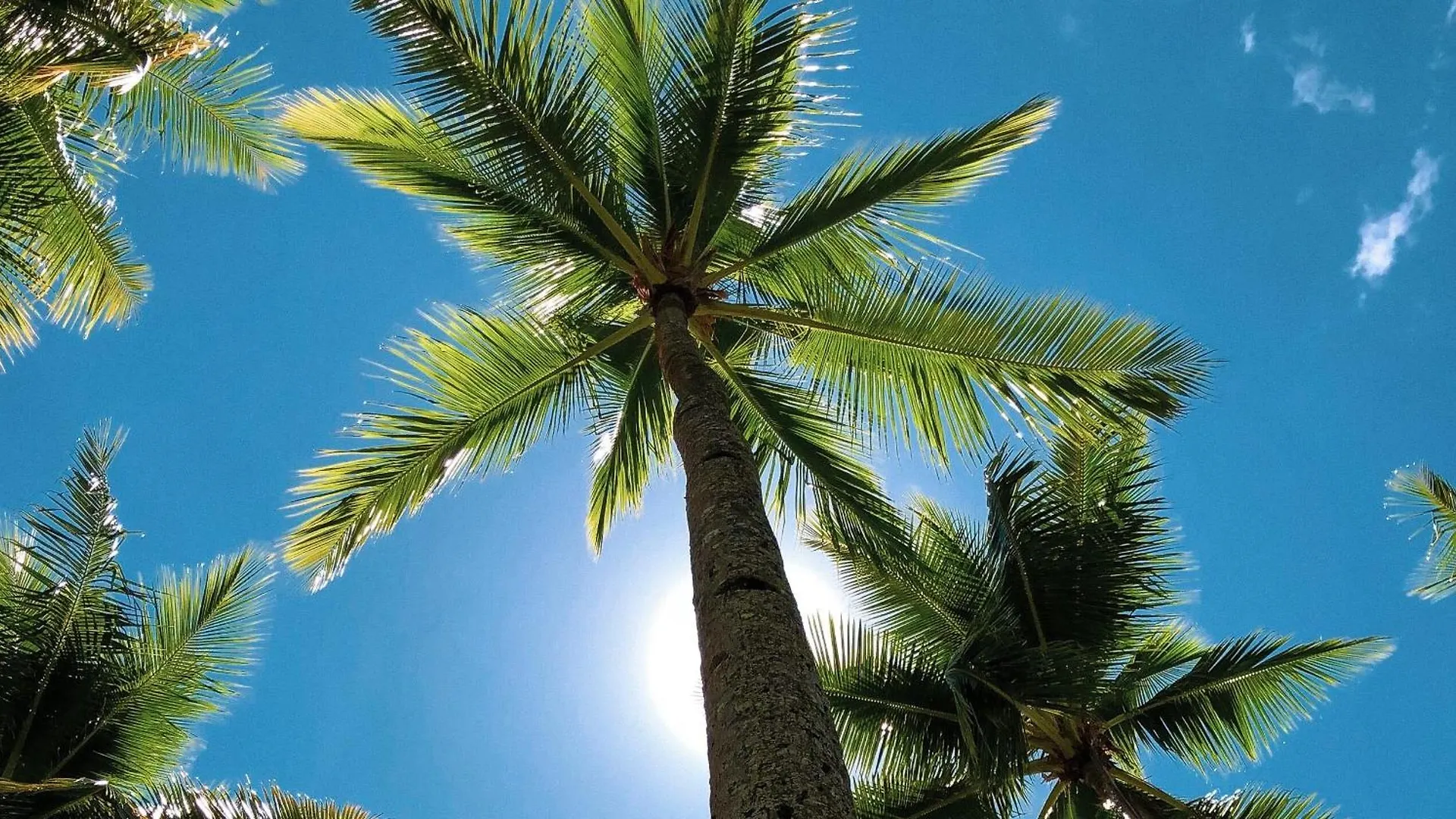 Casablanca Bahamas- New Luxury Waterfront Condo, Palm Cay, The Bahamas Nassau 0*,  Bahamas